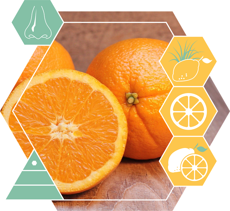 Limonen D- (nat)