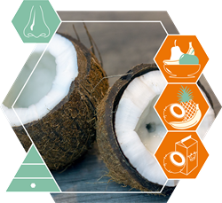Aldehyde C18 coconut