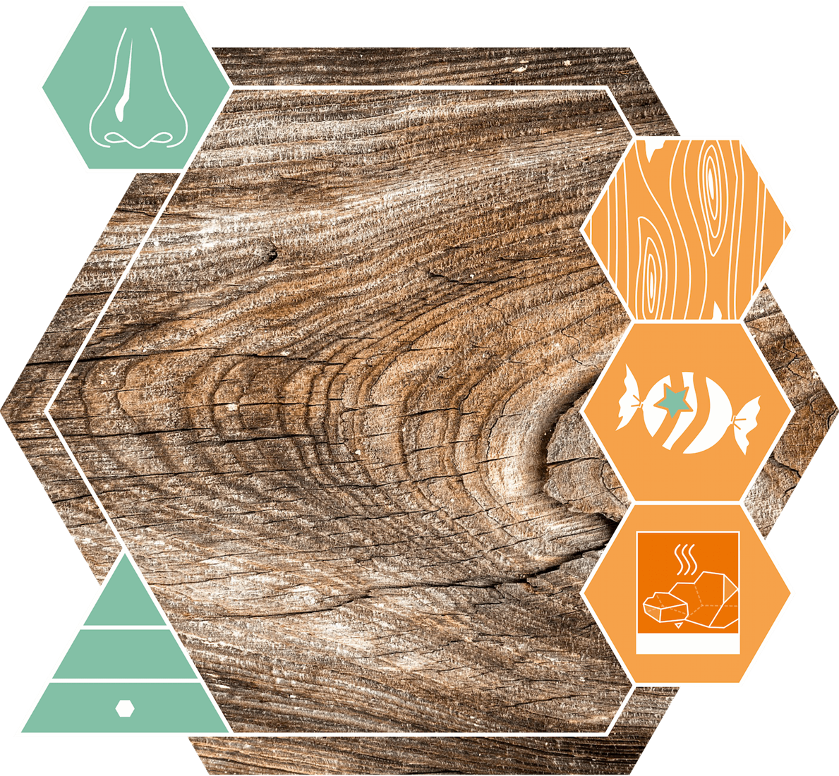 Buy Ambrocenide (Sym) 10% DPG 10 ml | Fragrance molecule | Hekserij