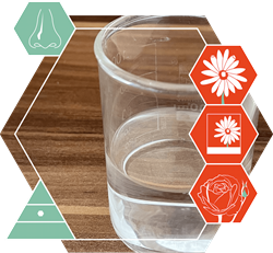 Rosenwasser (org)