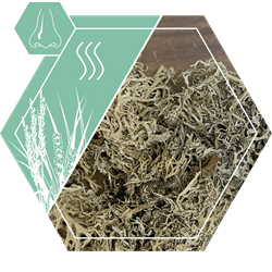 Duftende Naturstoffe