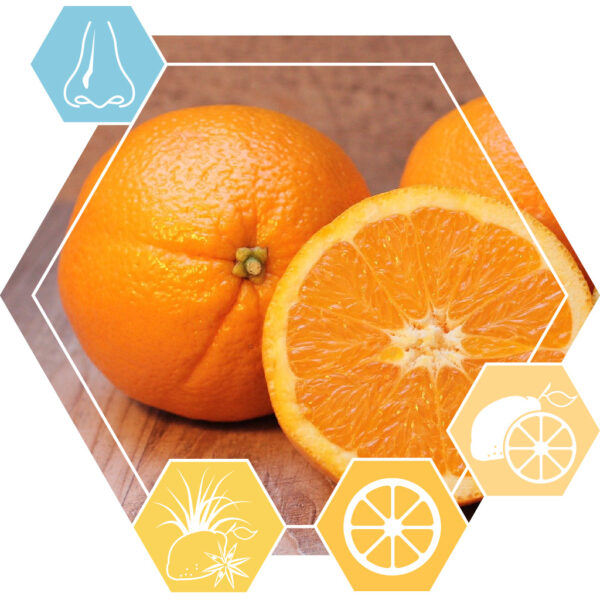 Etherische olie Sinaasappel zoet CP
