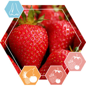 Aldehyde C16 strawberry
