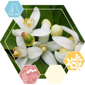 EO Neroli (org)