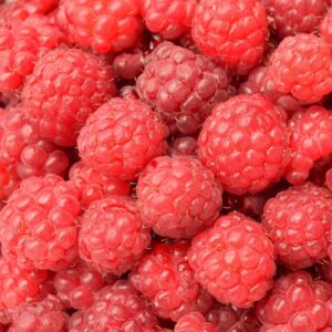 Raspberry ketone
