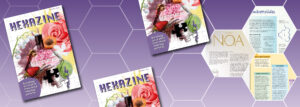 Nu verkrijgbaar: Hexazine 2024
